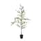 6ft. Potted Shady Lady Tree by Ashland®